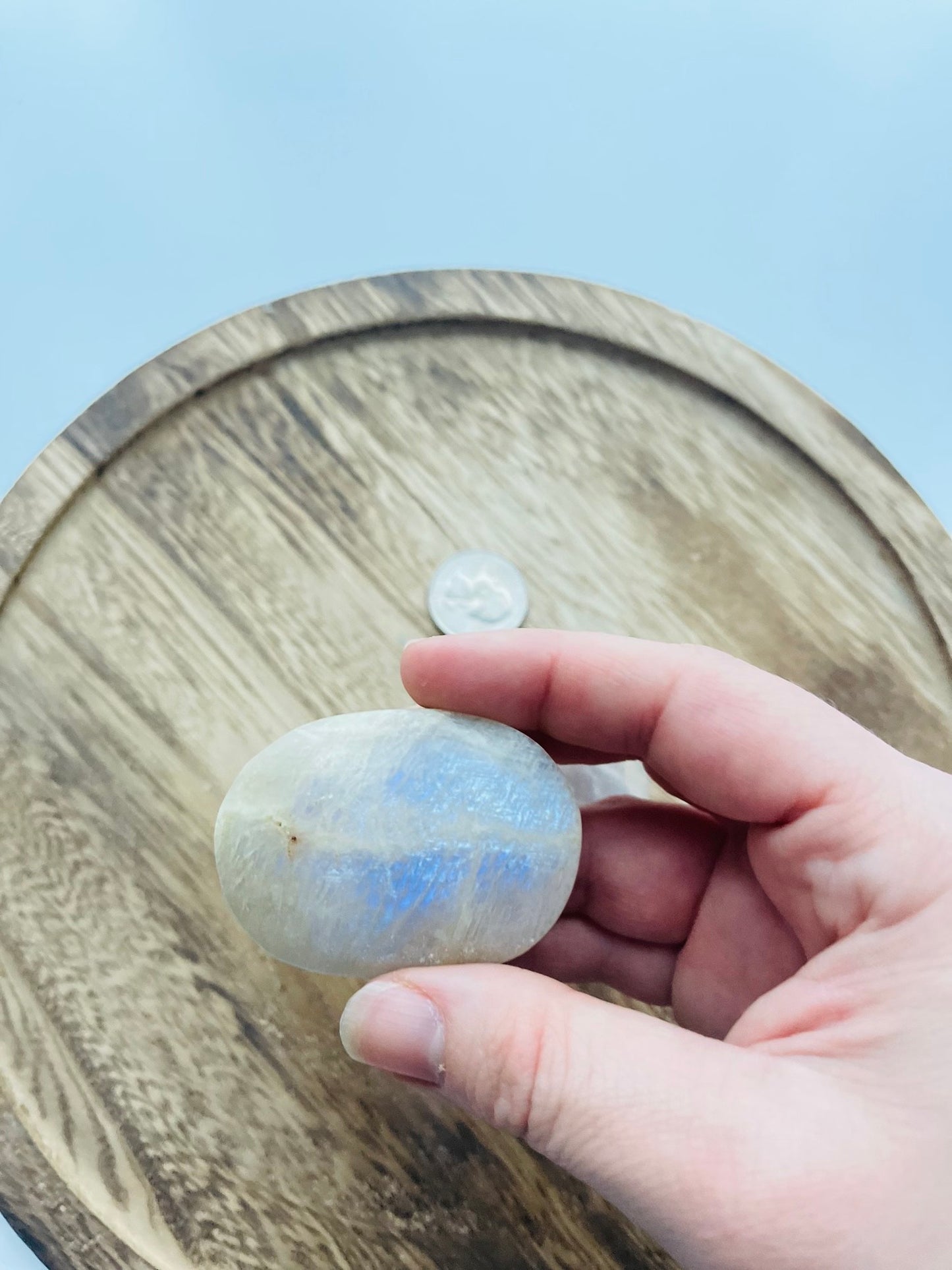 Moonstone Palms