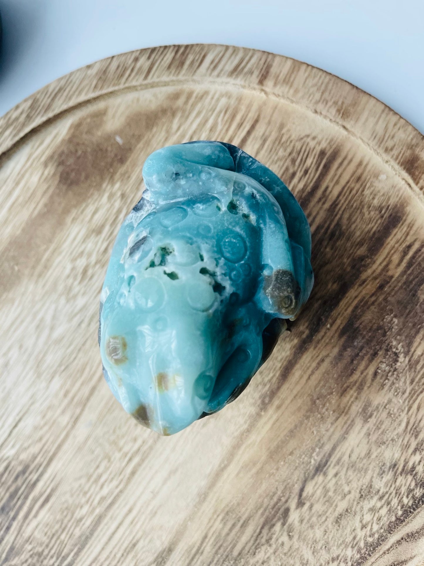 Amazonite Frog