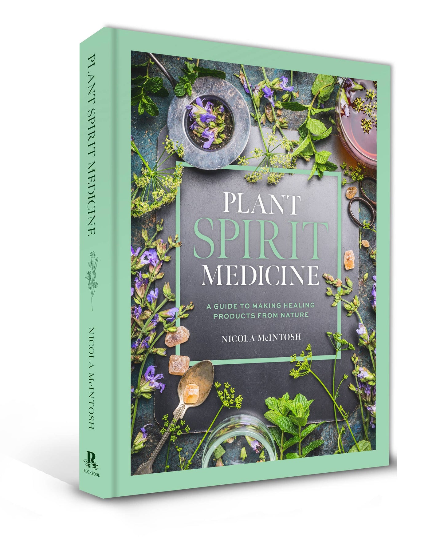 Plant Spirit Medicine (Hardcover)
