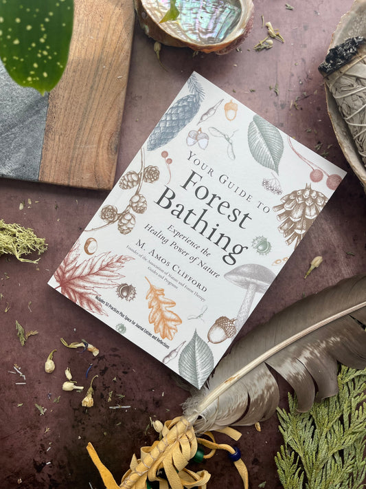 Your Guide to Forest Bathing (Expanded Edition)